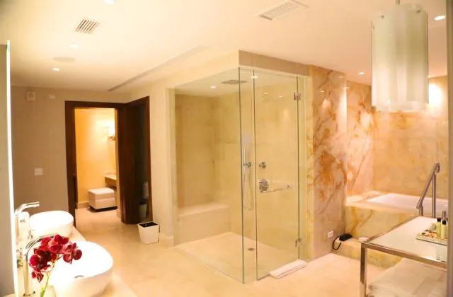 Real InterContinental Santo Domingo bathroom con shower
